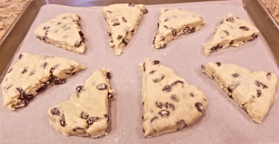 Scones cut on baking sheet