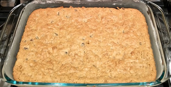 oatmeal brownies finished in pan