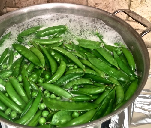 spring pea peas cooking in pot