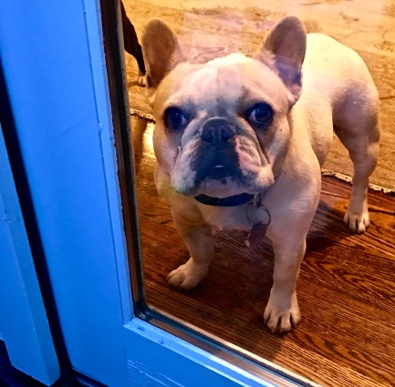 Mitzie at door