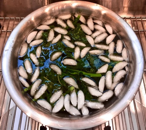 cavatappi broccoli rabe in ice