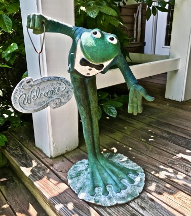 Julie's welcome frog